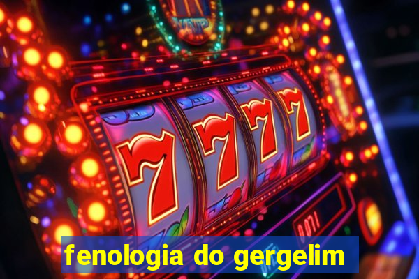 fenologia do gergelim